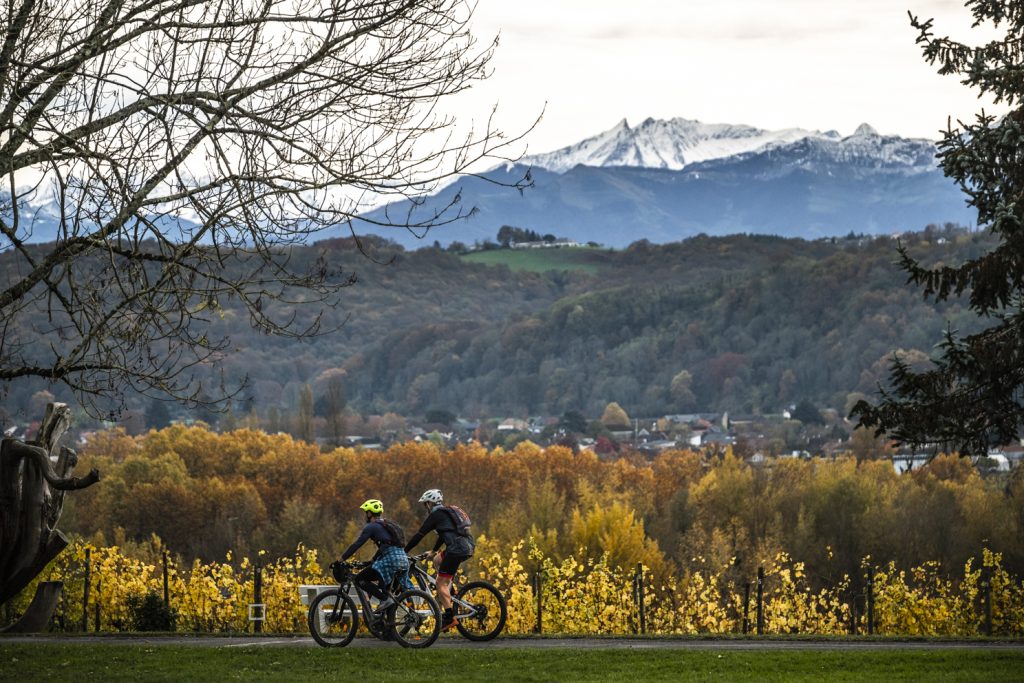 balade à vélo en plaine de Nay, dans le béarn. on y voit les montagnes enneigées au second plan