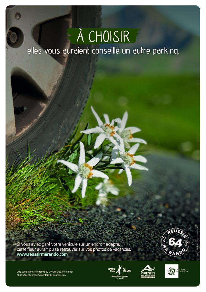 affiche A4 Réussir ma Rando 64, une voiture mal garée écrase des édelweiss. la montagne est un espace partagé entre éleveurs, transhumants, randonneurs. respectons les espaces réservés aux voitures