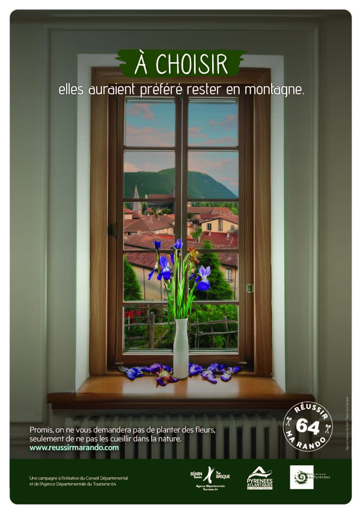 affiche A4 Réussir ma Rando 64, des fleurs de montagne sont fanées, dans un vase au bord d'une fenêtre. ces fleurs doivent rester sur le lieu et ne pas les cueillir. respectons la faune te la flore endémique.