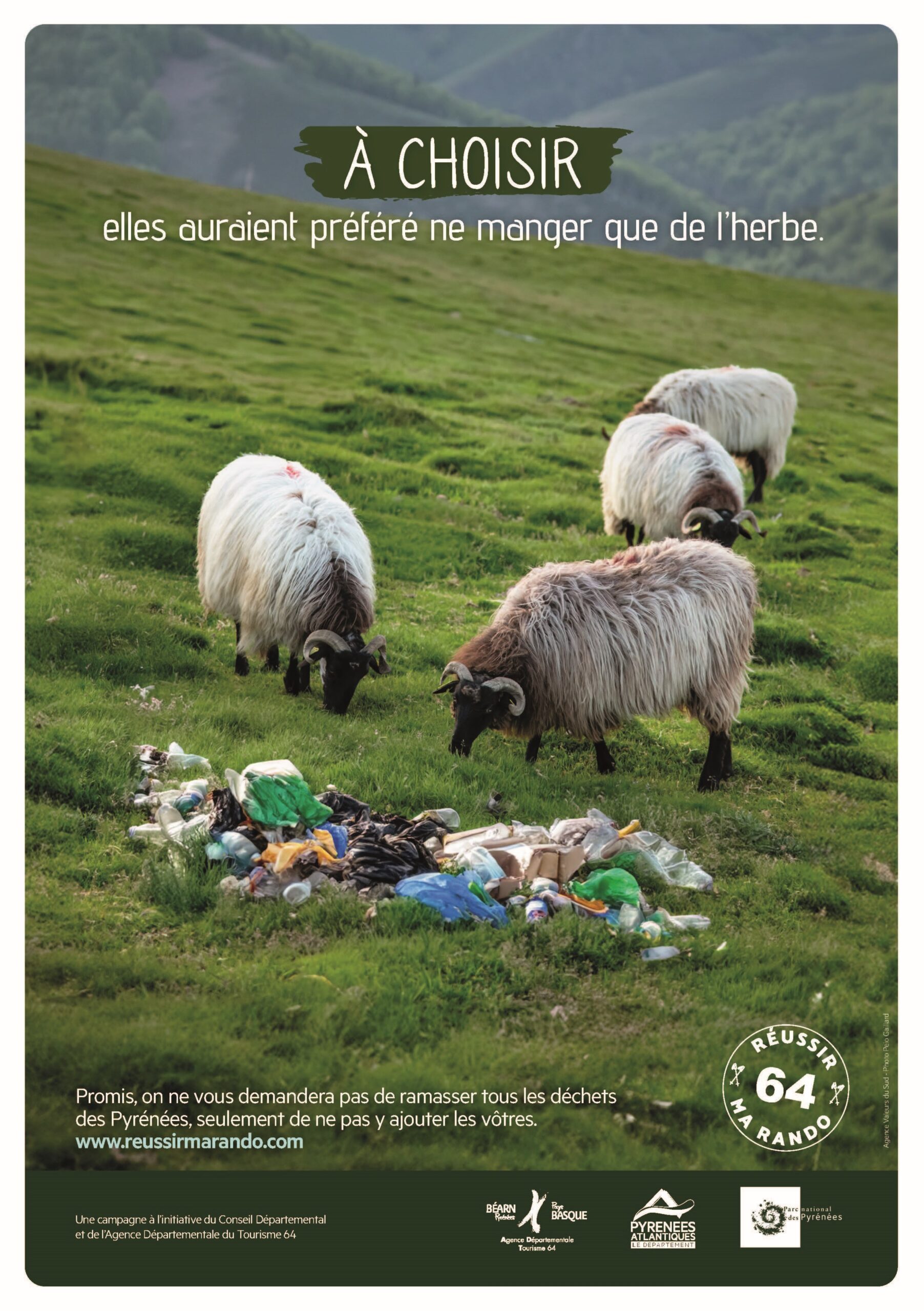 affiche réussir ma rando, des brebis mangent des déchets en montagne, à cause de l'imprudence des randonneurs qui n'ont pas remporté leurs déchets.