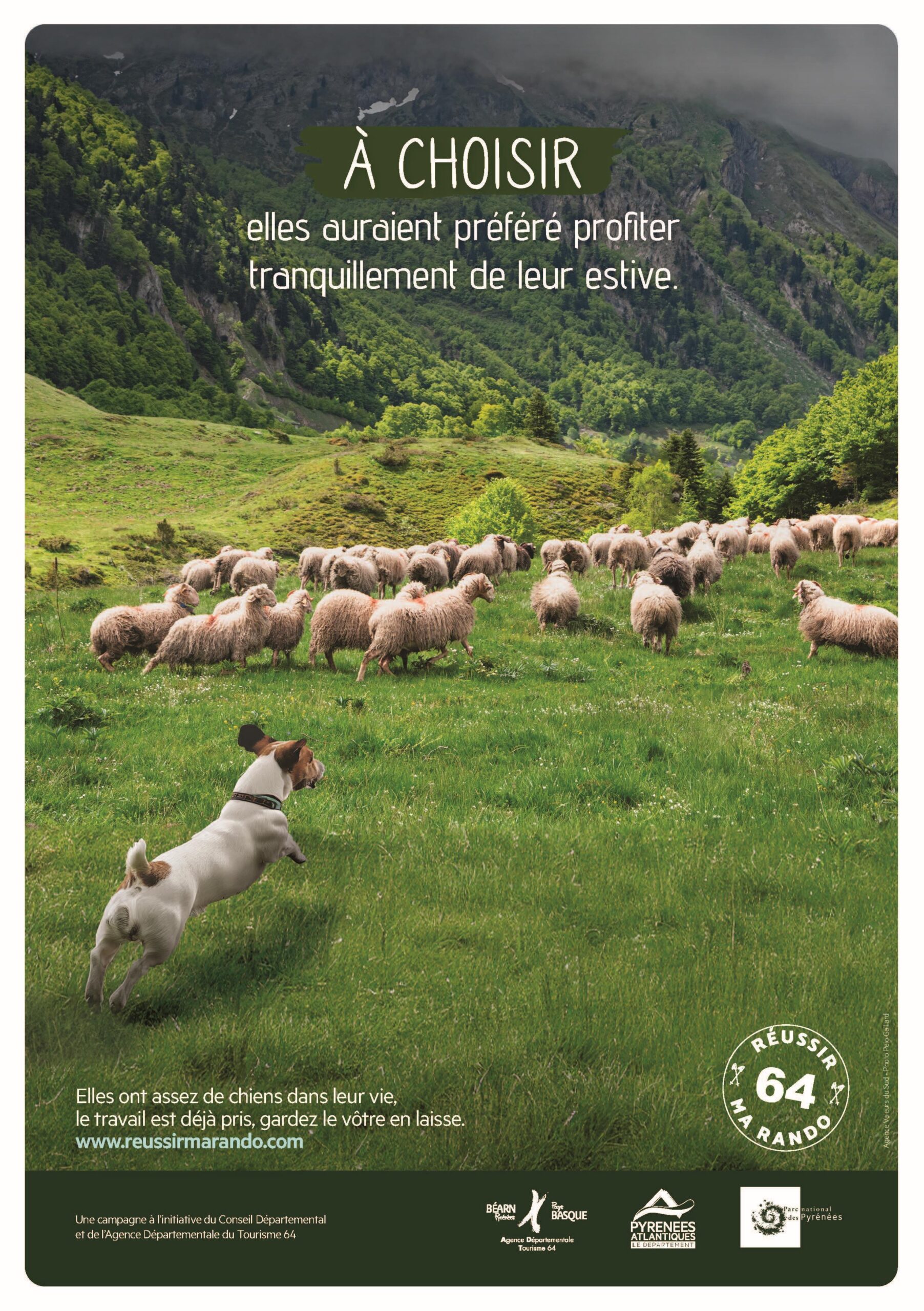 affiche réussir ma rando 64, un chien non tenu en laisse court après un troupeau de brebis en estive. il faut garder son chien en laisse ne montagne !